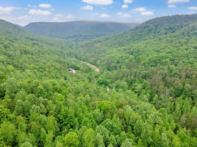 0 Egypt Hollow Rd, Trenton, GA 30752 - photo 14
