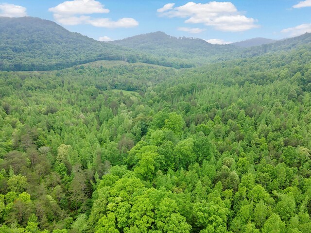 0 Egypt Hollow Rd, Trenton, GA 30752 - photo 15