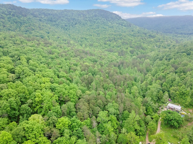 0 Egypt Hollow Rd, Trenton, GA 30752 - photo 1