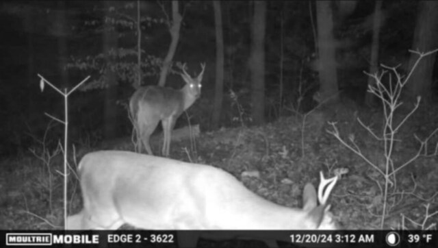 0 Egypt Hollow Rd, Trenton, GA 30752 - photo 12