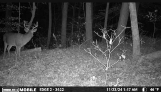 0 Egypt Hollow Rd, Trenton, GA 30752 - photo 11