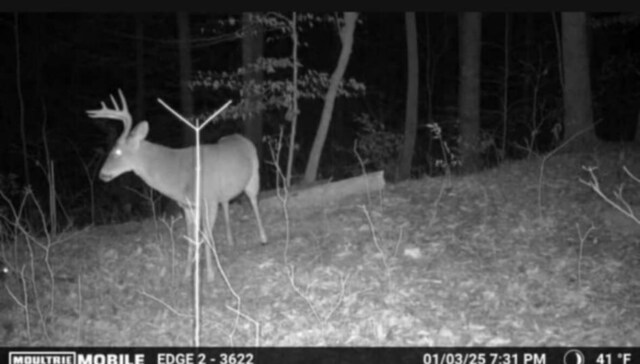 0 Egypt Hollow Rd, Trenton, GA 30752 - photo 9
