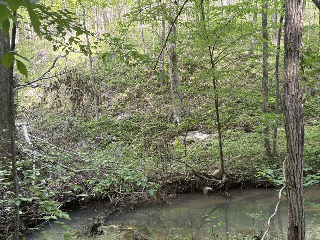 0 Egypt Hollow Rd, Trenton, GA 30752 - photo 6