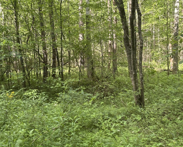 0 Egypt Hollow Rd, Trenton, GA 30752 - photo 7