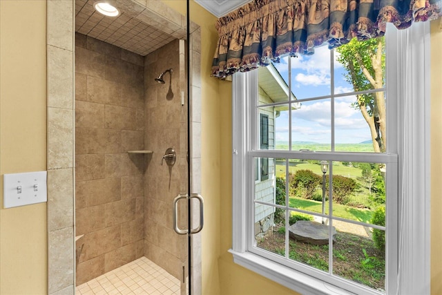 1578 Old Ringgold Rd, Rocky Face, GA 30740 - full bathroom with a shower stall and plenty of natural light