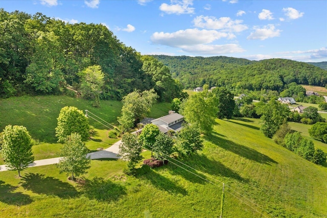 1578 Old Ringgold Rd, Rocky Face, GA 30740 - aerial view of a heavily wooded area
