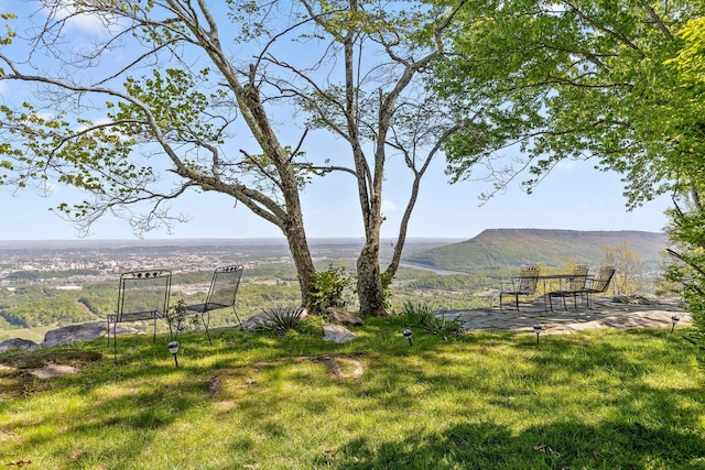 1116 Cumberland Rd, Chattanooga, TN 37419 - view of green lawn featuring a mountain view