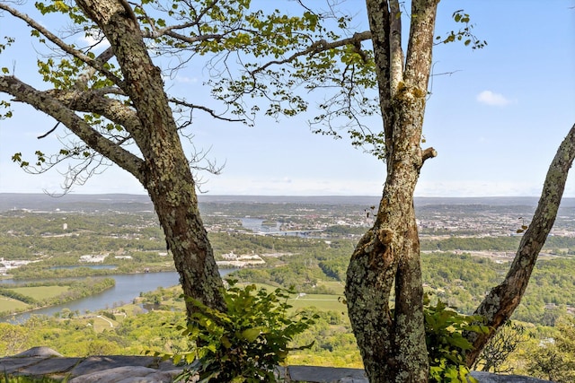 1116 Cumberland Rd, Chattanooga, TN 37419 - water view