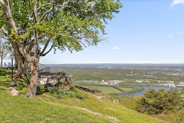 1116 Cumberland Rd, Chattanooga, TN 37419 - drone / aerial view of a nearby body of water