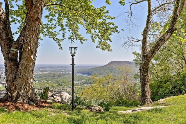 1116 Cumberland Rd, Chattanooga, TN 37419 - mountain view featuring a heavily wooded area