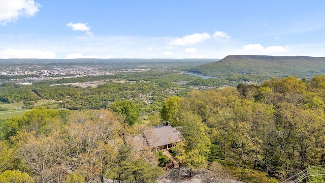 1116 Cumberland Rd, Chattanooga, TN 37419 - aerial view of a forest and a mountain backdrop
