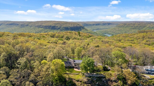 1116 Cumberland Rd, Chattanooga, TN 37419 - aerial view of property and surrounding area with a heavily wooded area