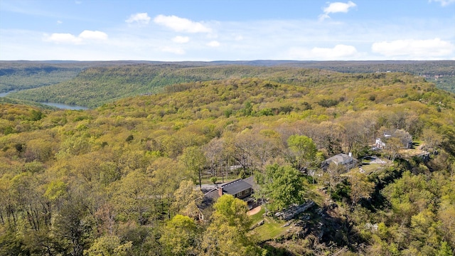 1116 Cumberland Rd, Chattanooga, TN 37419 - aerial view of property and surrounding area featuring a forest