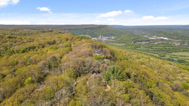 1116 Cumberland Rd, Chattanooga, TN 37419 - aerial overview of property's location featuring a forest
