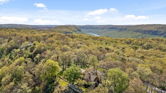 1116 Cumberland Rd, Chattanooga, TN 37419 - mountain view with a forest