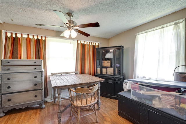 241 Bryant Ln, Tracy City, TN 37387 - dining room featuring plenty of natural light, light wood-style flooring, ceiling fan, and a textured ceiling