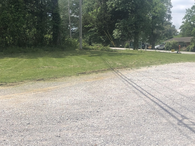 view of dirt / gravel road