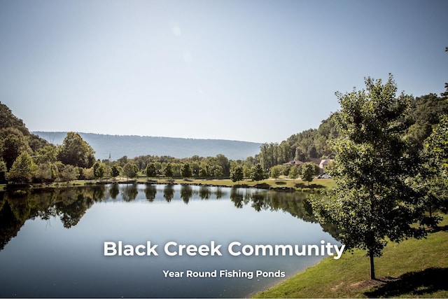 4850 Amethyst Rd Unit 904, Chattanooga, TN 37419 - water view featuring a forest