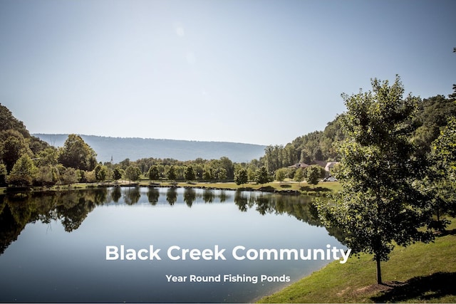 3070 Galena Cir Unit 830, Chattanooga, TN 37419 - water view with a forest