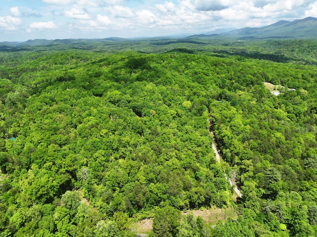 0 Ironsburg Rd, Tellico Plains, TN 37385 - photo 3