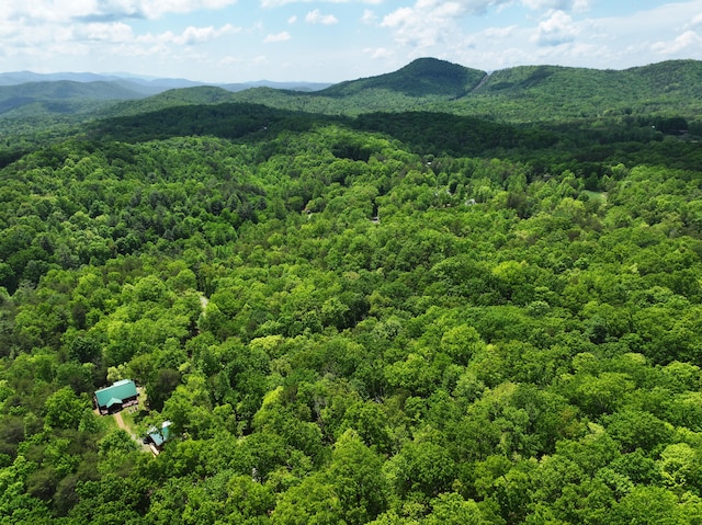 0 Ironsburg Rd, Tellico Plains, TN 37385 - photo 4