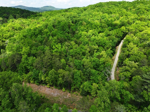 0 Ironsburg Rd, Tellico Plains, TN 37385 - photo 5