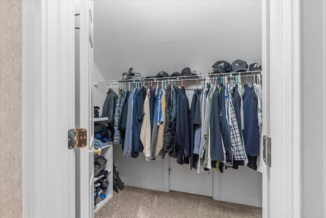 walk in closet featuring carpet floors