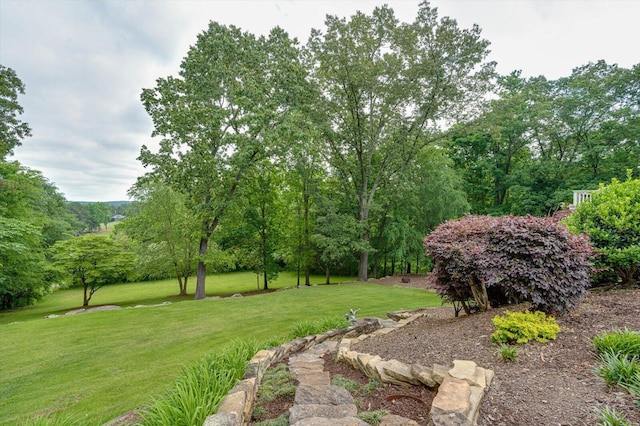view of grassy yard with view of wooded area
