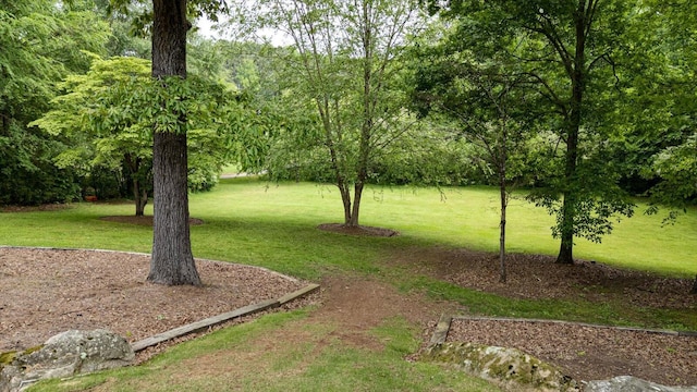 view of green lawn