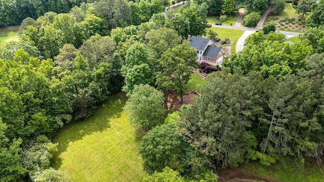 drone / aerial view