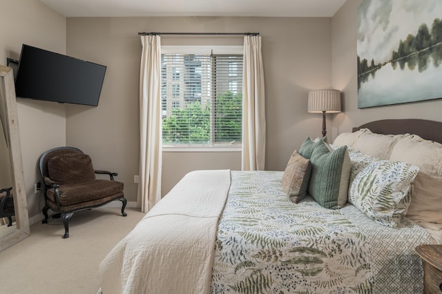 200 Manufacturers Rd Apt 339, Chattanooga, TN 37405 - carpeted bedroom with baseboards
