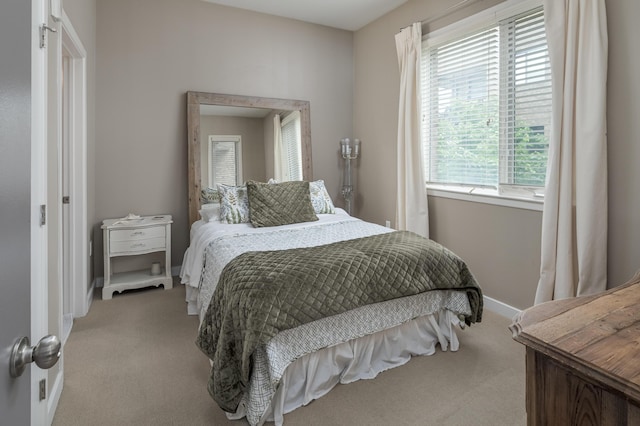 200 Manufacturers Rd Apt 339, Chattanooga, TN 37405 - bedroom featuring carpet and baseboards