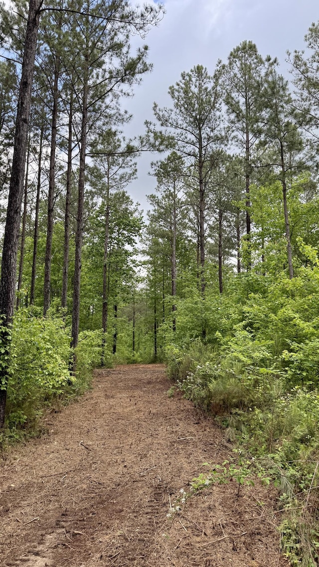 0 Sullivan Rd Lot 3, Dunlap, TN 37327 - photo 3