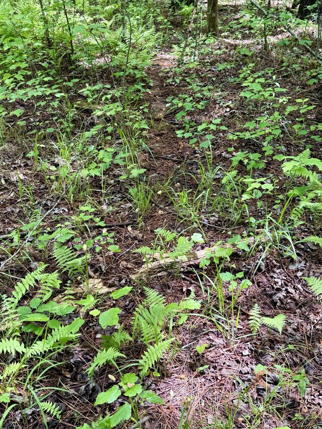 0 Sullivan Rd Lot 3, Dunlap, TN 37327 - photo 6