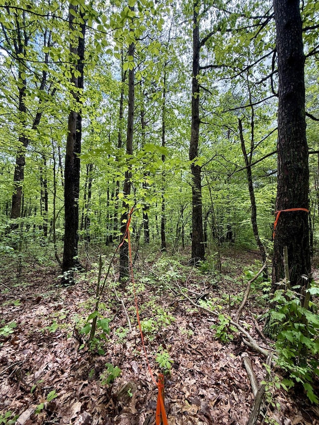 0 Sullivan Rd Lot 3, Dunlap, TN 37327 - photo 7