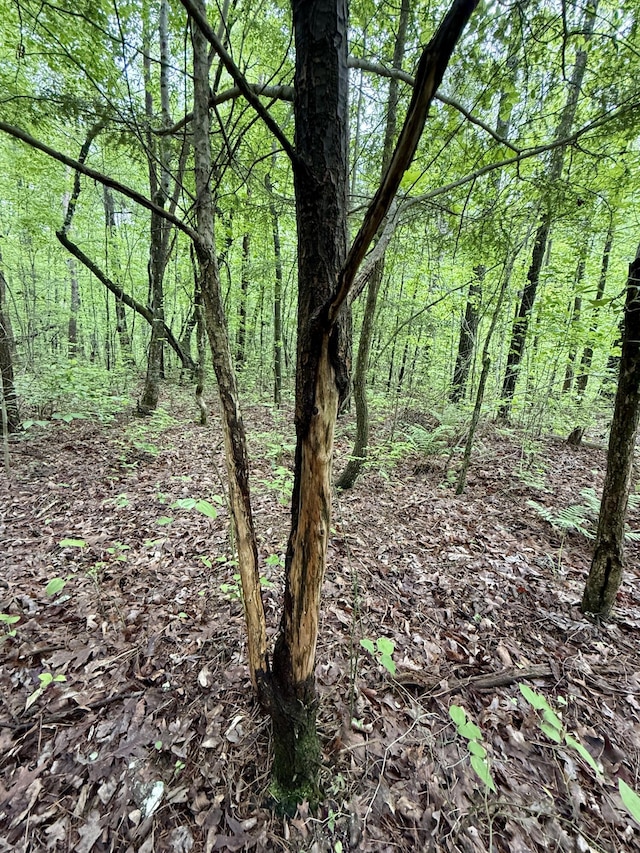 0 Sullivan Rd Lot 3, Dunlap, TN 37327 - photo 8