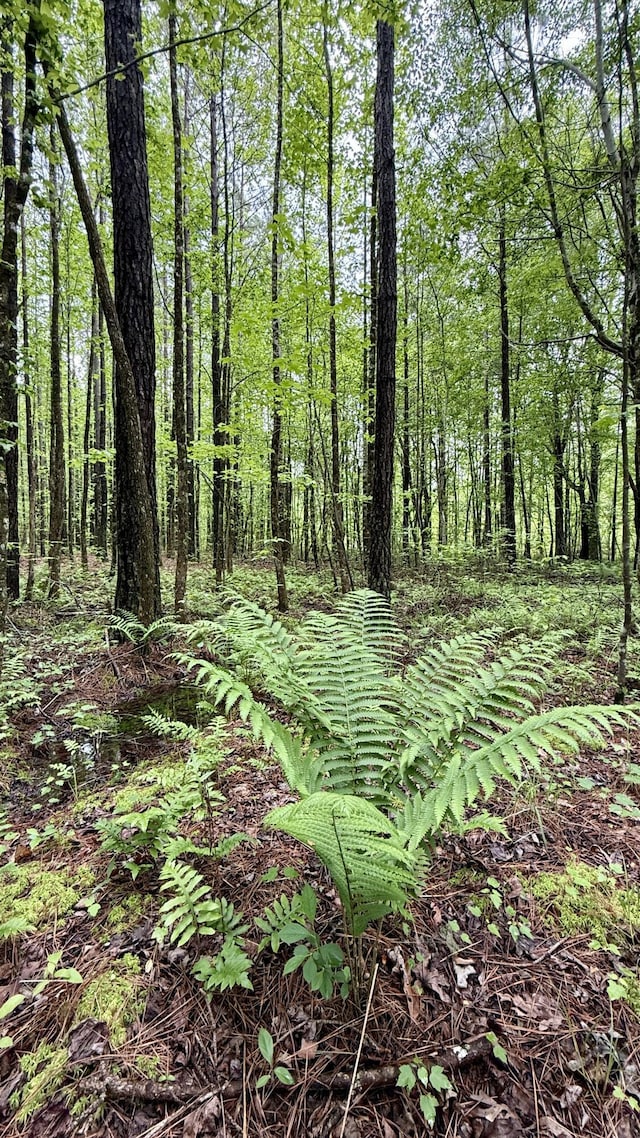 0 Sullivan Rd Lot 3, Dunlap, TN 37327 - photo 9
