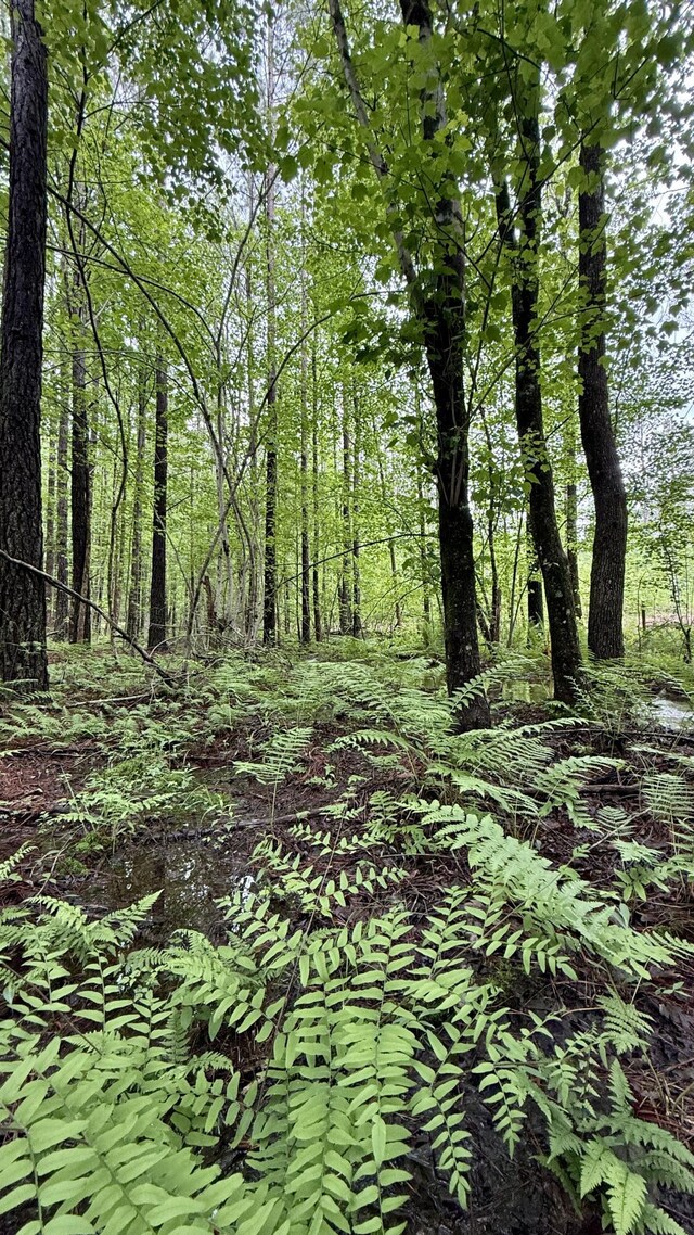 0 Sullivan Rd Lot 3, Dunlap, TN 37327 - photo 12
