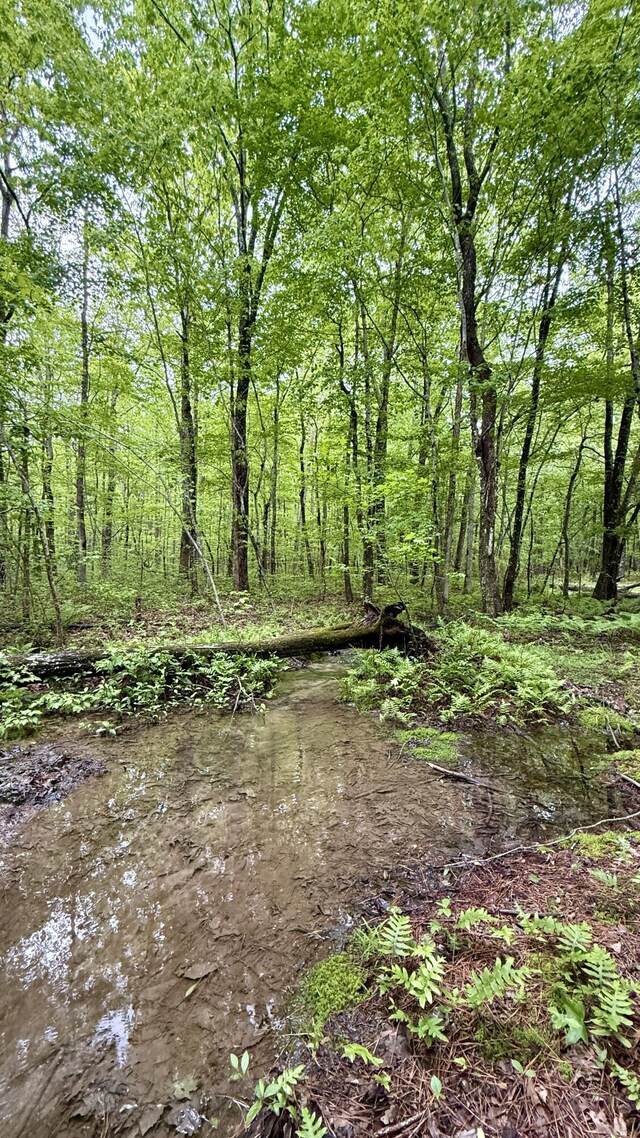 0 Sullivan Rd Lot 3, Dunlap, TN 37327 - photo 13