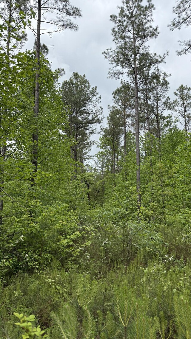 0 Sullivan Rd Lot 3, Dunlap, TN 37327 - photo 15