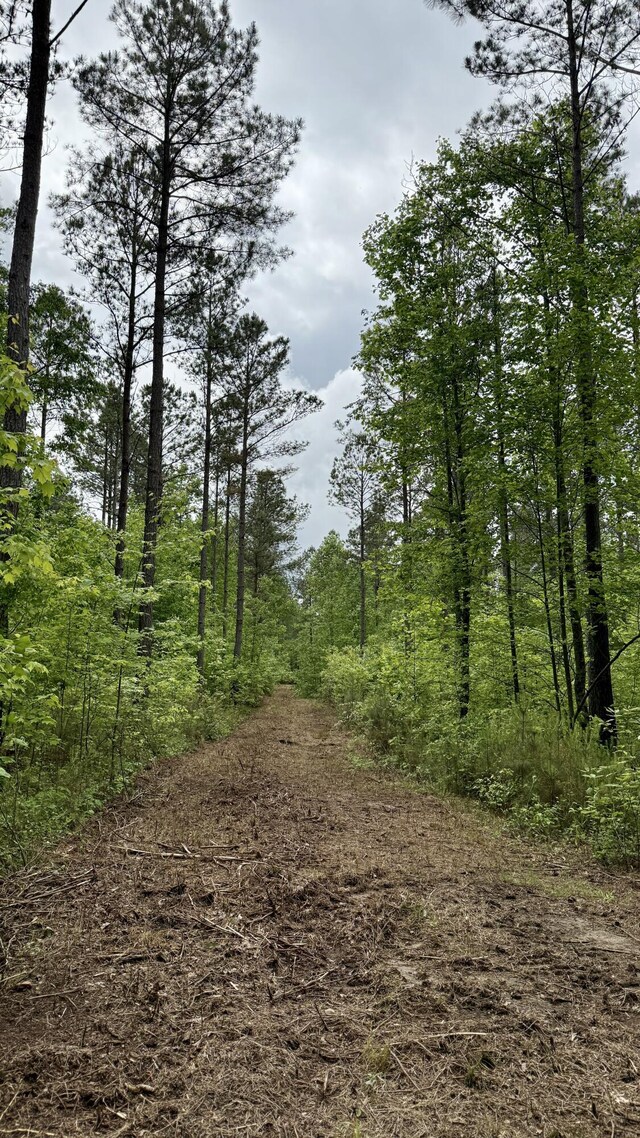 0 Sullivan Rd Lot 3, Dunlap, TN 37327 - photo 16