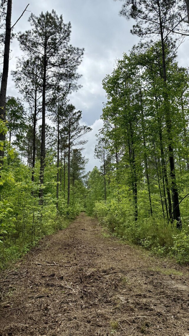 0 Sullivan Rd Lot 3, Dunlap, TN 37327 - photo 17