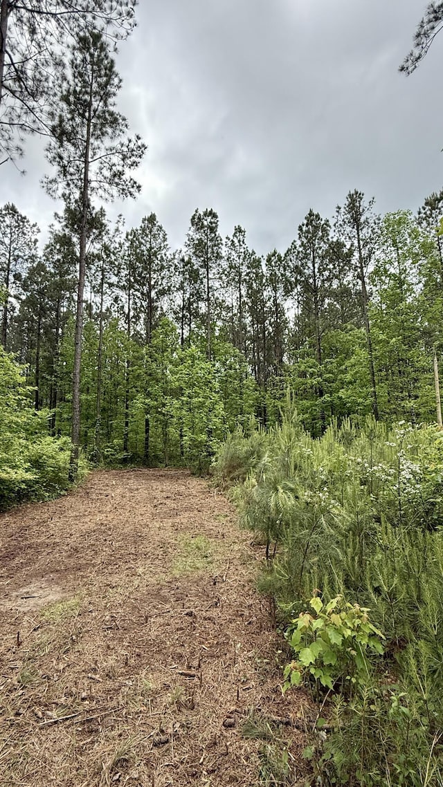 0 Sullivan Rd Lot 3, Dunlap, TN 37327 - photo 18