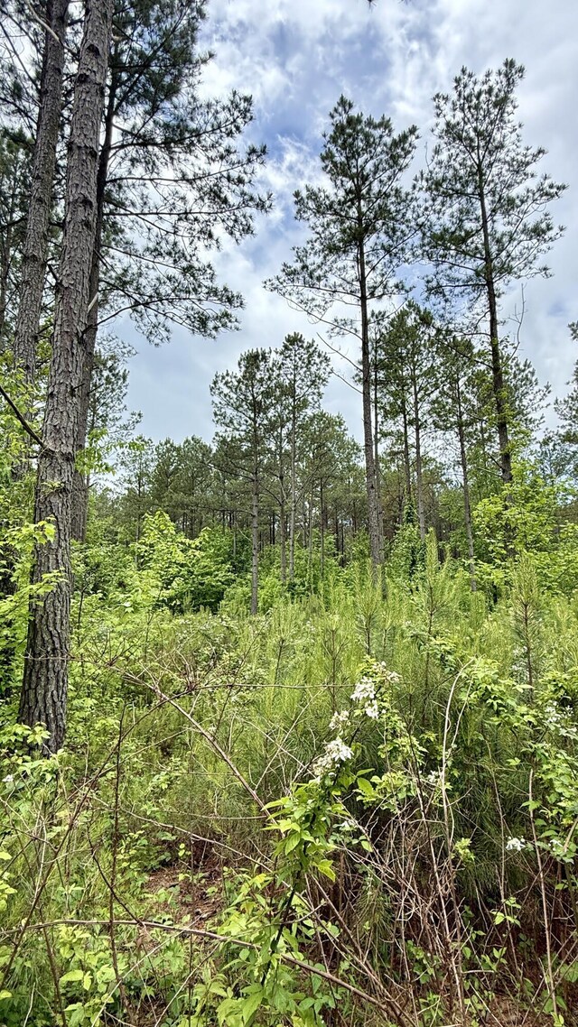 0 Sullivan Rd Lot 3, Dunlap, TN 37327 - photo 19