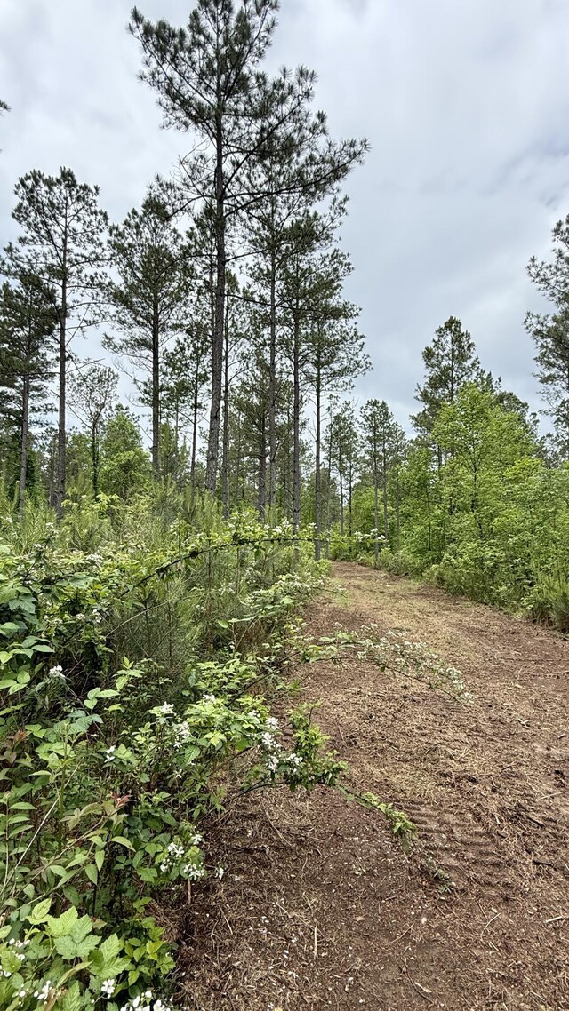 0 Sullivan Rd Lot 3, Dunlap, TN 37327 - photo 20