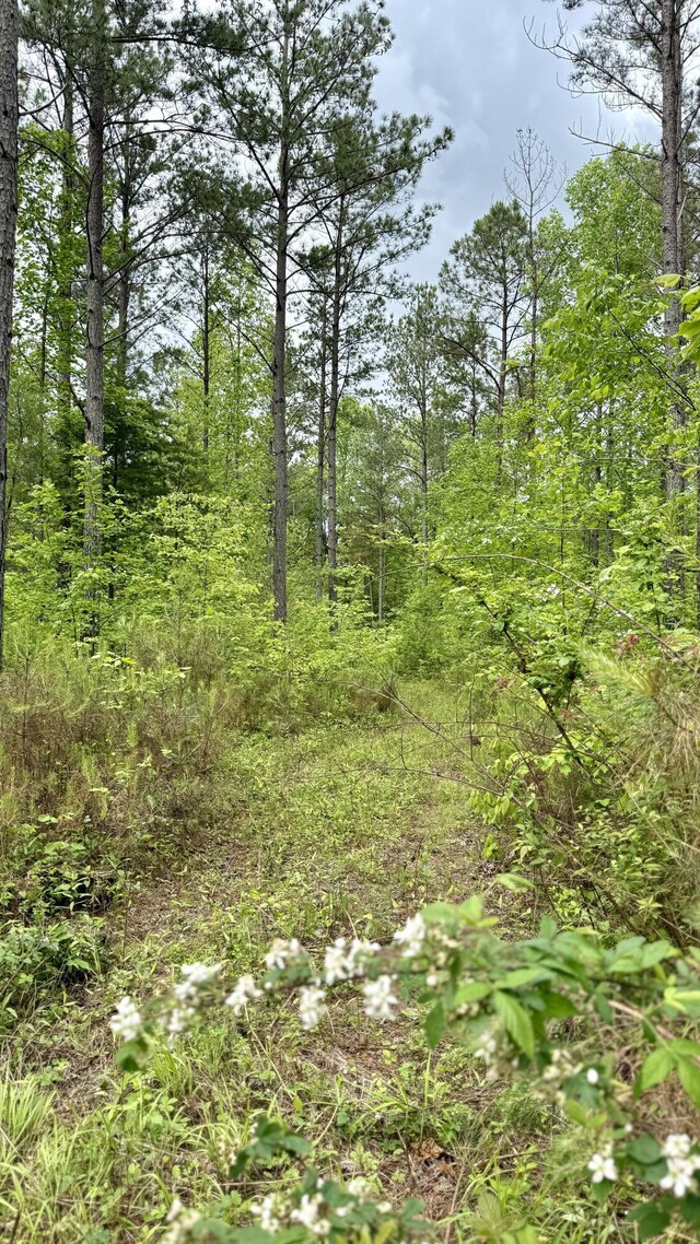 0 Sullivan Rd Lot 3, Dunlap, TN 37327 - photo 21