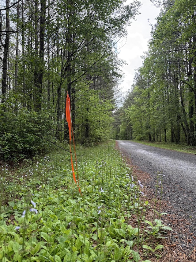 0 Sullivan Rd Lot 3, Dunlap, TN 37327 - photo 2