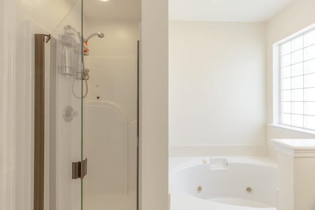 8369 Shadetree Ln, Ooltewah, TN 37363 - full bathroom with a stall shower, healthy amount of natural light, and a whirlpool tub