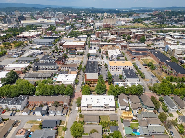 1704 Williams St, Chattanooga, TN 37408 - view of property location with nearby urban area