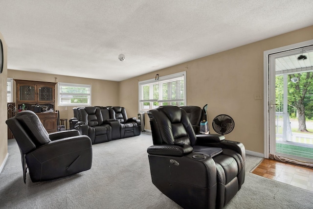 living room featuring light colored carpet, baseboards, and a textured ceiling